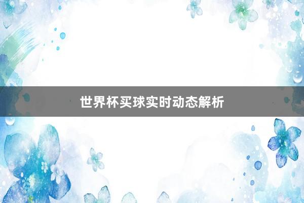 世界杯买球实时动态解析